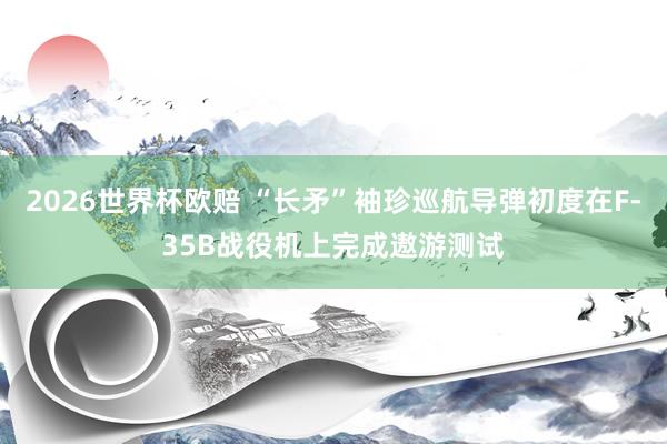 2026世界杯欧赔 “长矛”袖珍巡航导弹初度在F-35B战役机上完成遨游测试