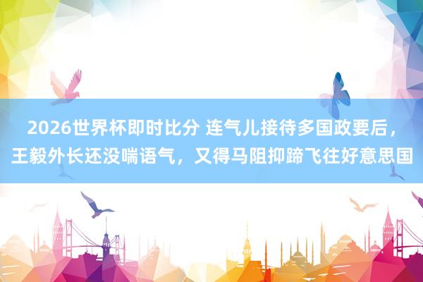 2026世界杯即时比分 连气儿接待多国政要后，王毅外长还没喘语气，又得马阻抑蹄飞往好意思国
