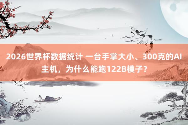 2026世界杯数据统计 一台手掌大小、300克的AI主机，为什么能跑122B模子？