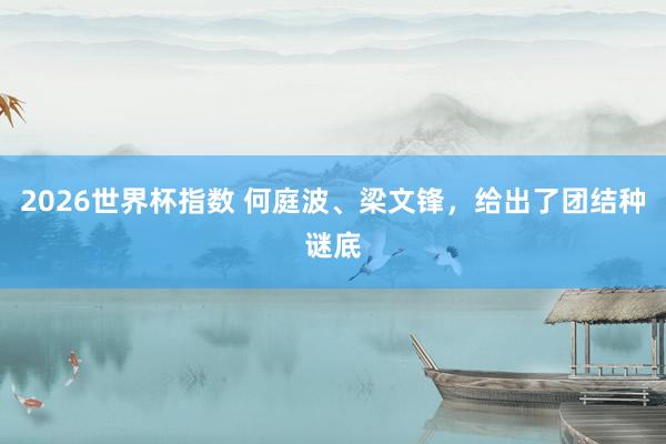 2026世界杯指数 何庭波、梁文锋，给出了团结种谜底