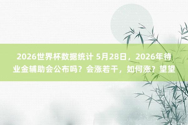 2026世界杯数据统计 5月28日，2026年待业金辅助会公布吗？会涨若干，如何涨？望望