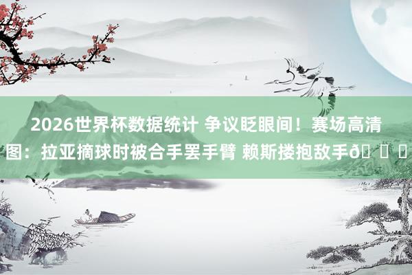 2026世界杯数据统计 争议眨眼间！赛场高清图：拉亚摘球时被合手罢手臂 赖斯搂抱敌手👀