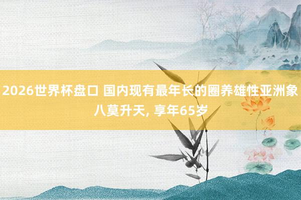 2026世界杯盘口 国内现有最年长的圈养雄性亚洲象八莫升天, 享年65岁