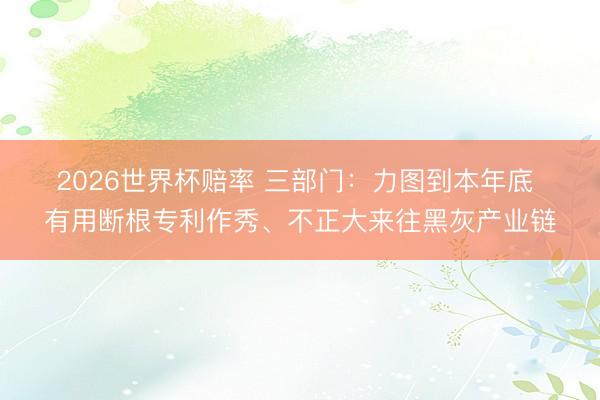 2026世界杯赔率 三部门:力图到本年底 有用断根专利作秀、不正大来往黑灰产业链