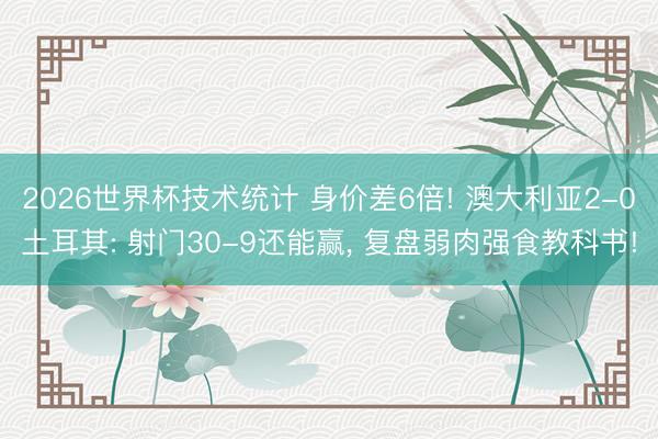 2026世界杯技术统计 身价差6倍! 澳大利亚2-0土耳其: 射门30-9还能赢, 复盘弱肉强食教科书!
