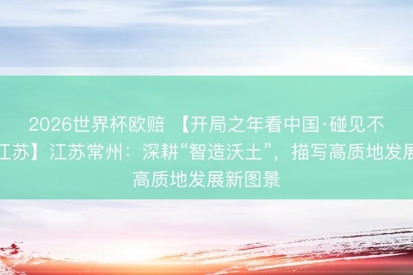 2026世界杯欧赔 【开局之年看中国·碰见不相似的江苏】江苏常州：深耕“智造沃土”，描写高质地发展新图景