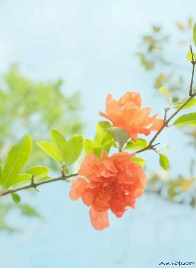 图片源自汇聚